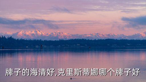 牌子的海清好,克里斯蒂娜哪个牌子好