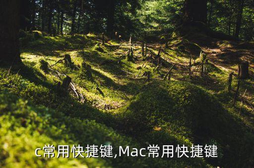 c常用快捷键,Mac常用快捷键