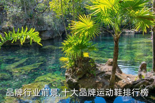 品牌行业前景,十大品牌运动鞋排行榜