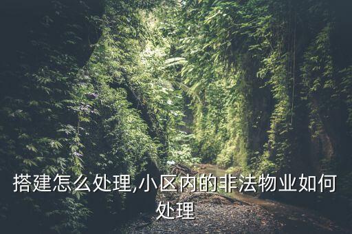 搭建怎么处理,小区内的非法物业如何处理