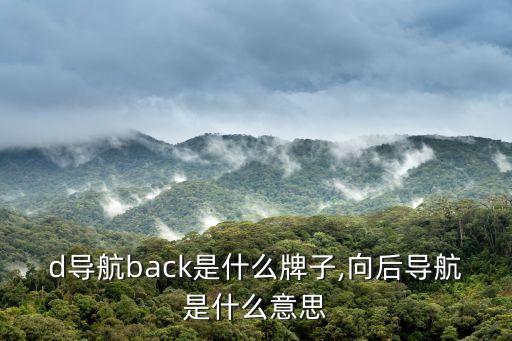 d导航back是什么牌子,向后导航是什么意思