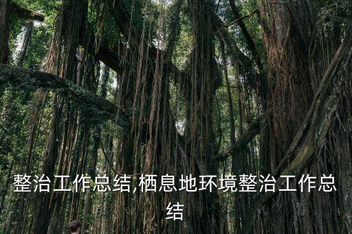 环境整治工作总结,栖息地环境整治工作总结