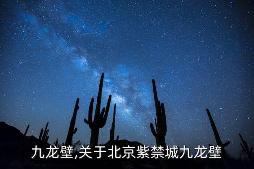 北京九龙壁,关于北京紫禁城九龙壁