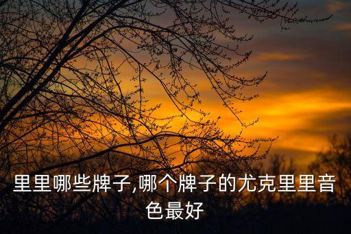 尤克里里哪些牌子,哪个牌子的尤克里里音色最好?