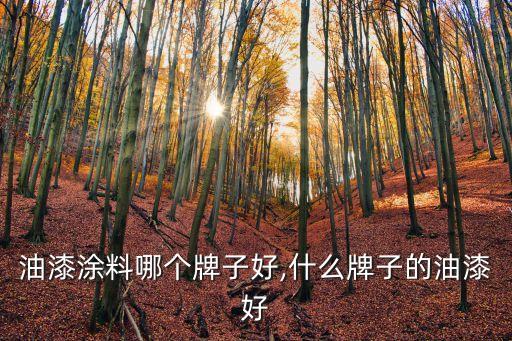 装修油漆涂料哪个牌子好,什么牌子的油漆好?