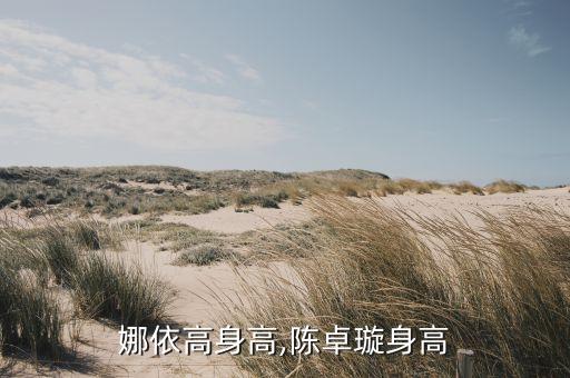 希林娜依高身高,陈卓璇身高