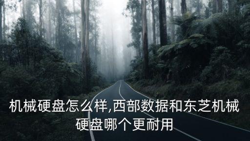 东芝机械硬盘怎么样,西部数据和东芝机械硬盘哪个更耐用?
