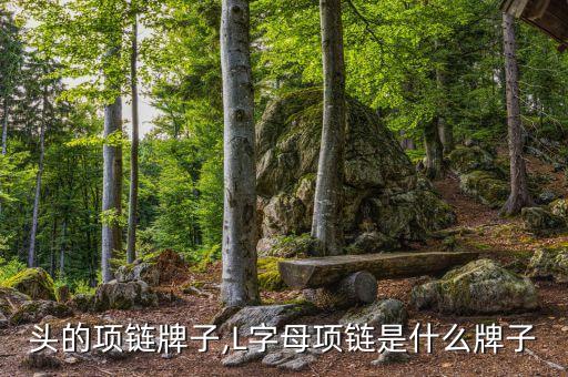 l开头的项链牌子,L字母项链是什么牌子?