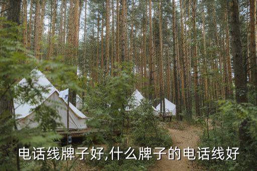 什么电话线牌子好,什么牌子的电话线好?