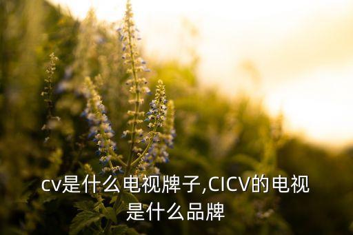 cv是什么电视牌子,CICV的电视是什么品牌