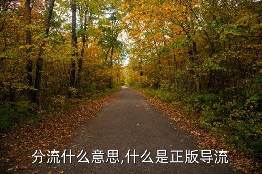 分流什么意思,什么是正版导流