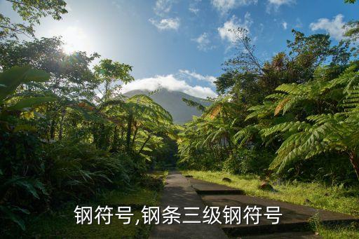 钢符号,钢条三级钢符号