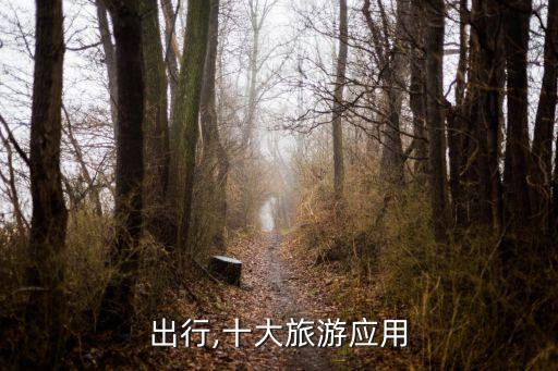 腾飞出行,十大旅游应用