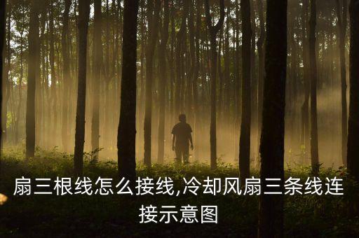扇三根线怎么接线,冷却风扇三条线连接示意图