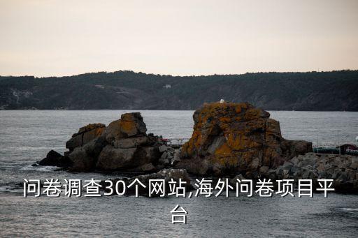 问卷调查30个网站,海外问卷项目平台