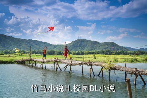 青梅竹马小说H,校园BL小说