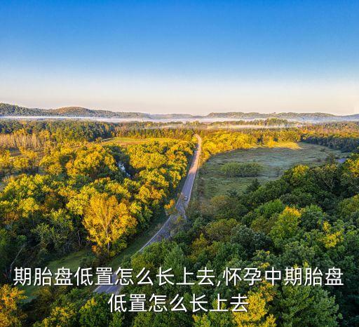 期胎盘低置怎么长上去,怀孕中期胎盘低置怎么长上去