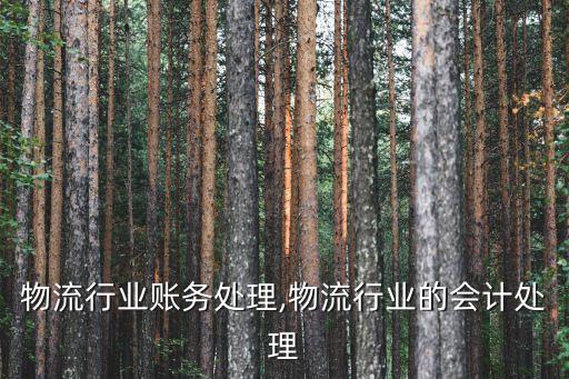 物流行业账务处理,物流行业的会计处理