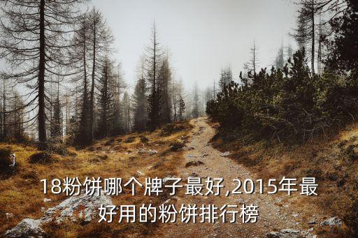 18粉饼哪个牌子最好,2015年最好用的粉饼排行榜