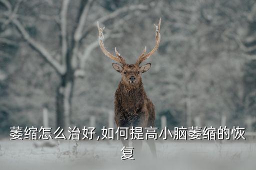 小脑萎缩怎么治好,如何提高小脑萎缩的恢复?