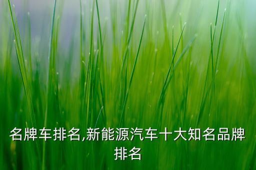 十大名牌车排名,新能源汽车十大知名品牌排名