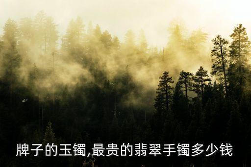 哪个牌子的玉镯,最贵的翡翠手镯多少钱?