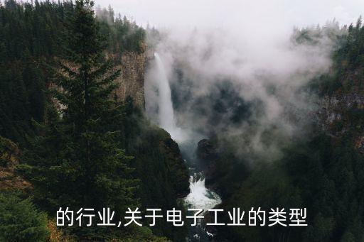 的行业,关于电子工业的类型