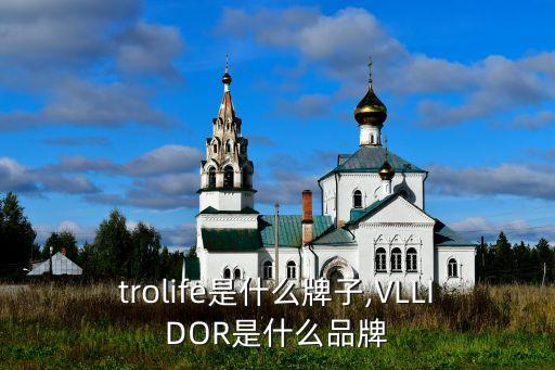 vitrolife是什么牌子,VLLIDOR是什么品牌?