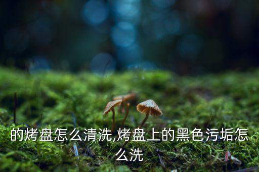 烤箱的烤盘怎么清洗,烤盘上的黑色污垢怎么洗?