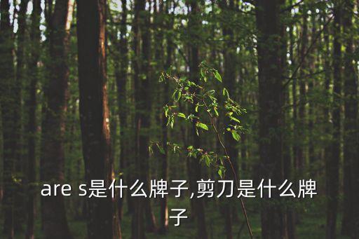siare s是什么牌子,剪刀是什么牌子?