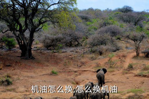 叉车机油怎么换,怎么换机油?