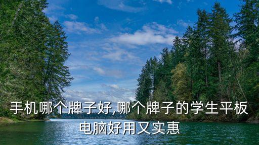 平板手机哪个牌子好,哪个牌子的学生平板电脑好用又实惠?