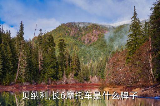 钱江贝纳利,长6摩托车是什么牌子?