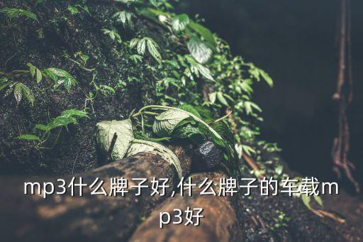 mp3什么牌子好,什么牌子的车载mp3好