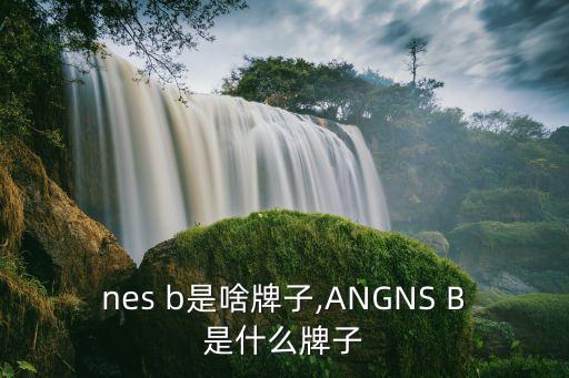nes b是啥牌子,ANGNS B是什么牌子