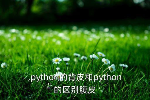 腹皮,python的背皮和python的区别腹皮