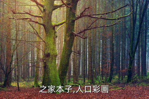 琴女之家本子,人口彩画