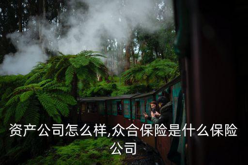 资产公司怎么样,众合保险是什么保险公司