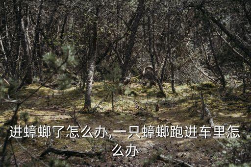 车里进蟑螂了怎么办,一只蟑螂跑进车里怎么办?