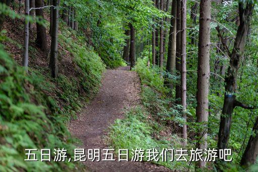 五日游,昆明五日游我们去旅游吧
