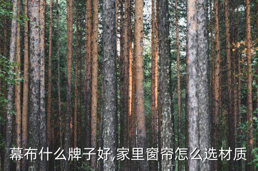 家用幕布什么牌子好,家里窗帘怎么选材质?