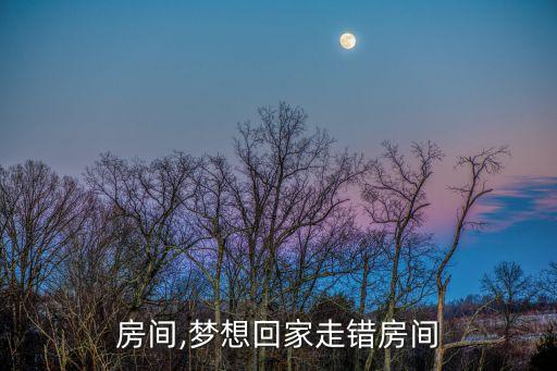 房间,梦想回家走错房间