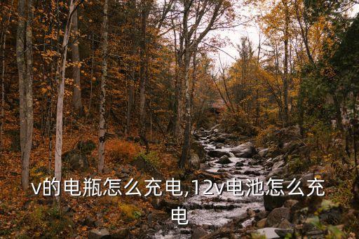 v的电瓶怎么充电,12v电池怎么充电