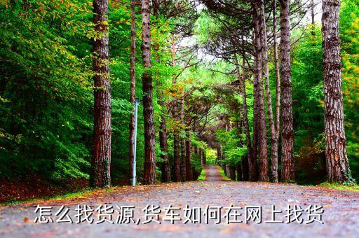 怎么找货源,货车如何在网上找货