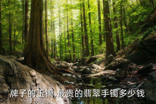 牌子的玉镯,最贵的翡翠手镯多少钱