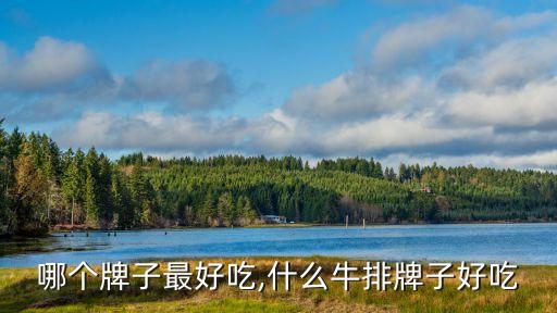 牛排哪个牌子最好吃,什么牛排牌子好吃?