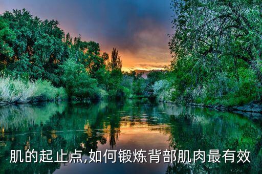 肌的起止点,如何锻炼背部肌肉最有效