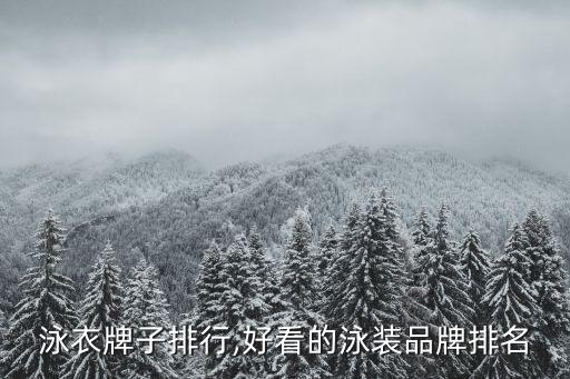 泳衣牌子排行,好看的泳装品牌排名