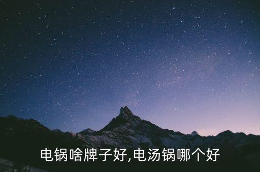 电锅啥牌子好,电汤锅哪个好