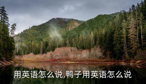 猴子用英语怎么说,鸭子用英语怎么说?